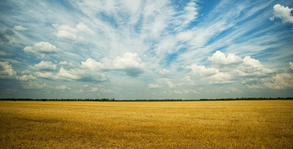 Vast agricultural field in Ukraine under a striking sky of clouds and blue hues.